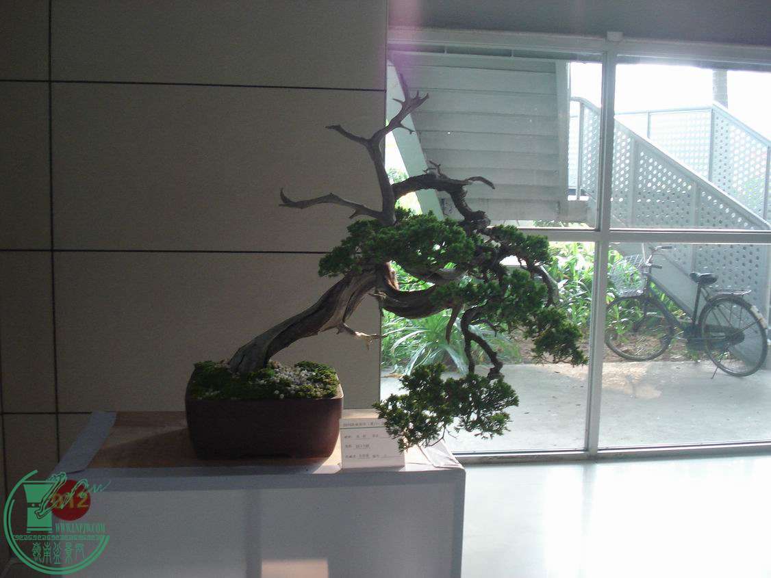 С DSC00422.JPG