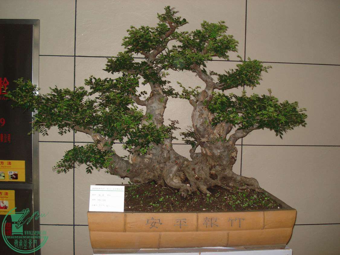 С DSC00424.JPG