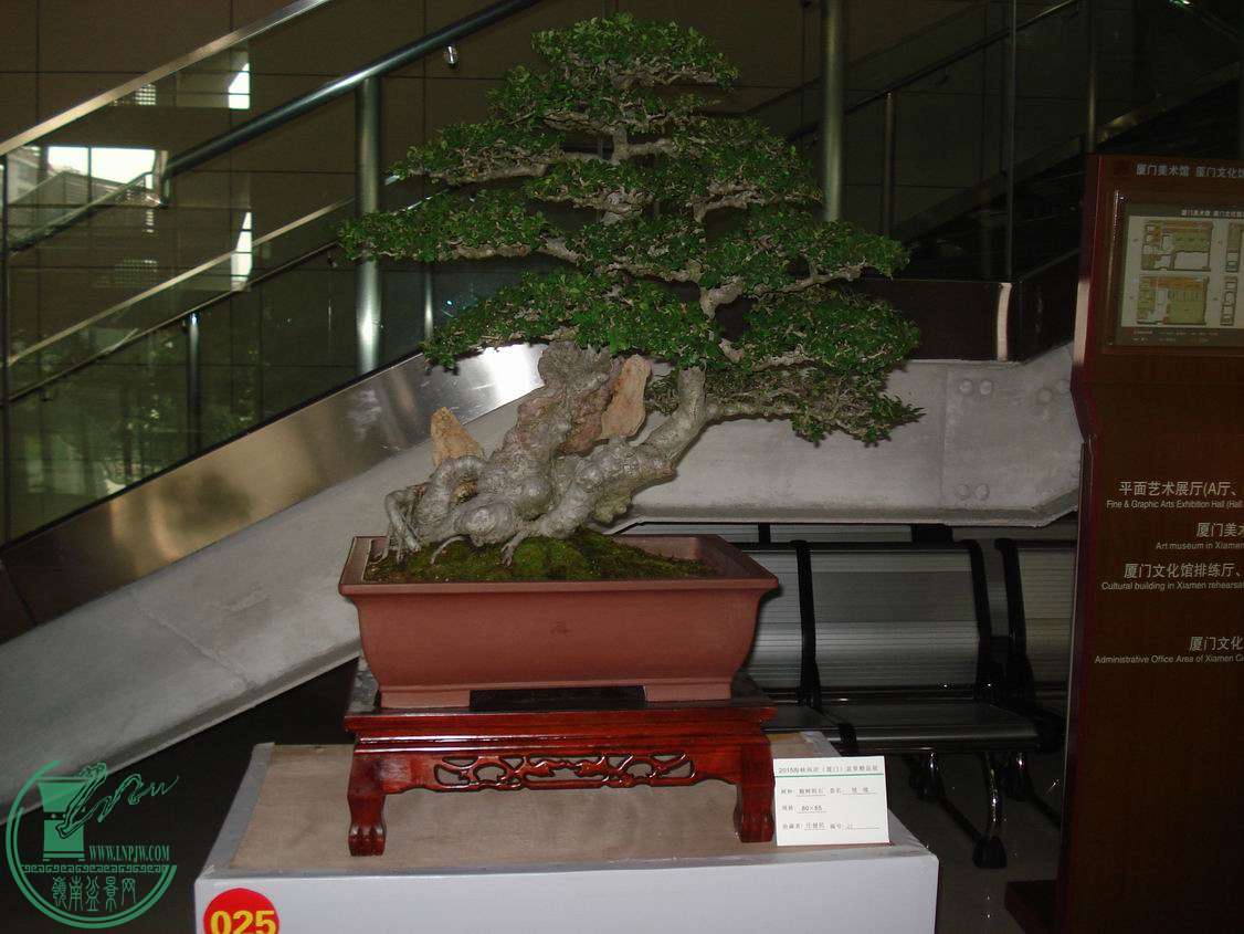 С DSC00425.JPG