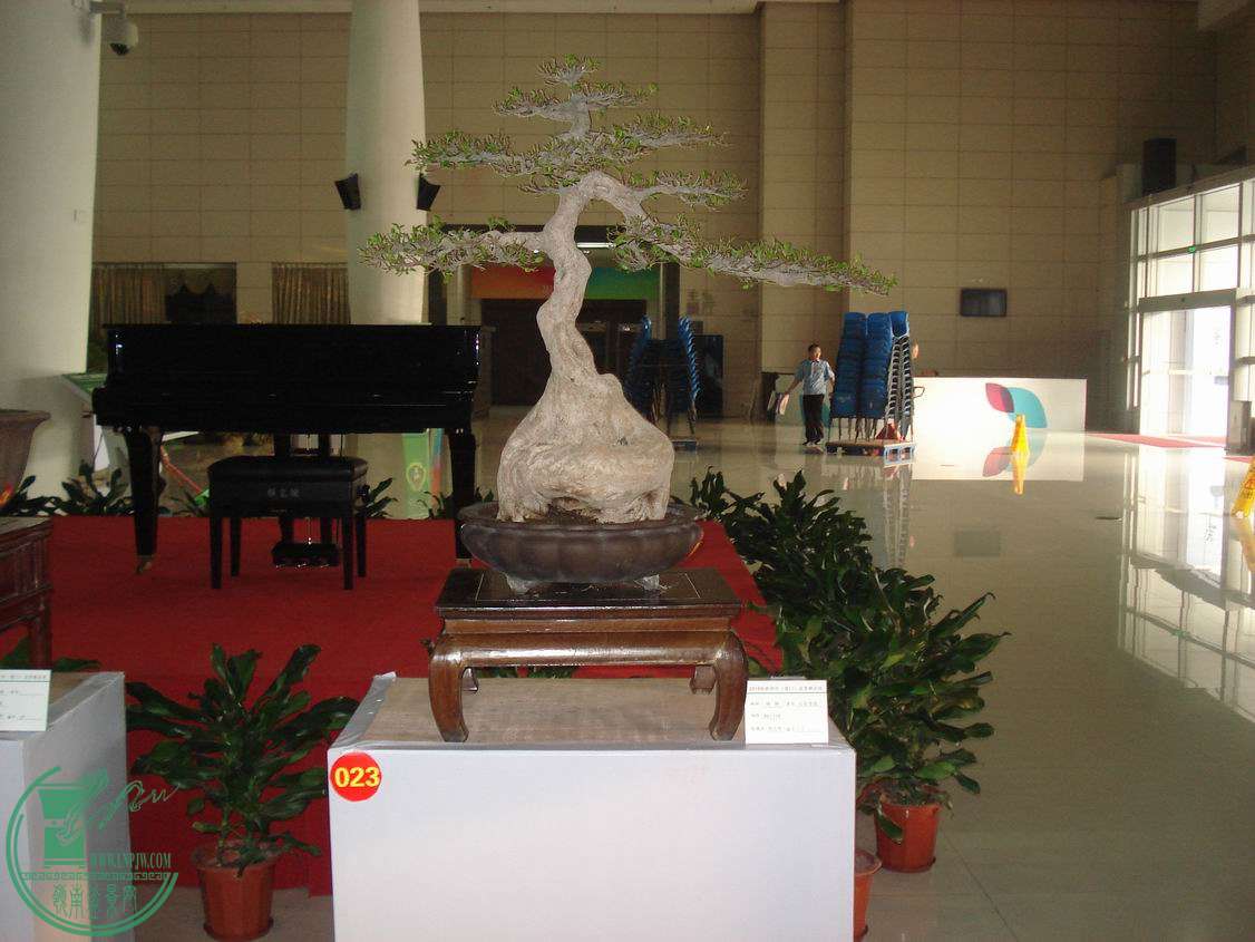 С DSC00427.JPG