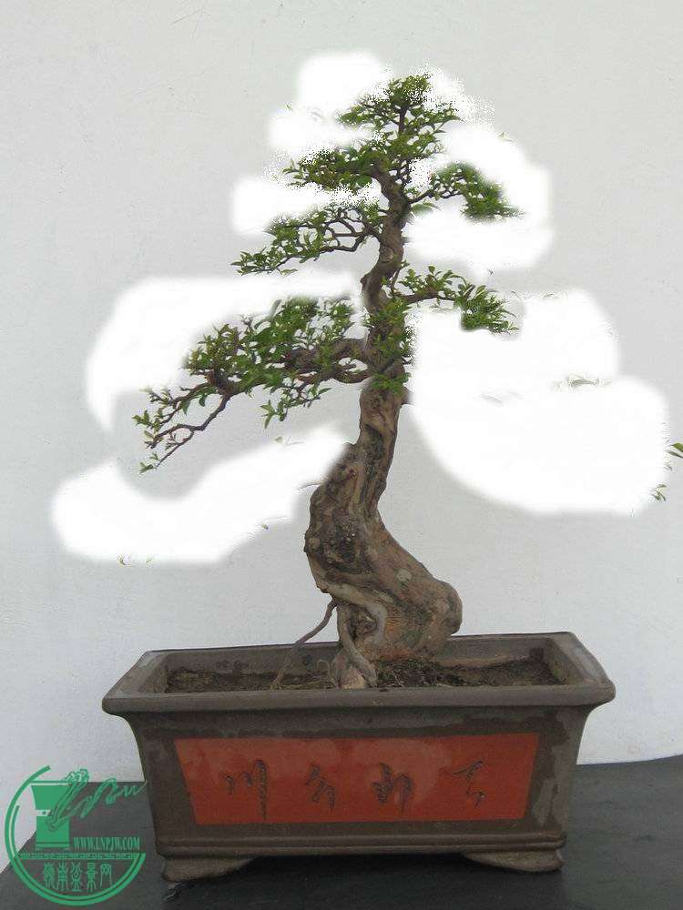 184954lxadx73qz067f94u_jpg_thumb.jpg