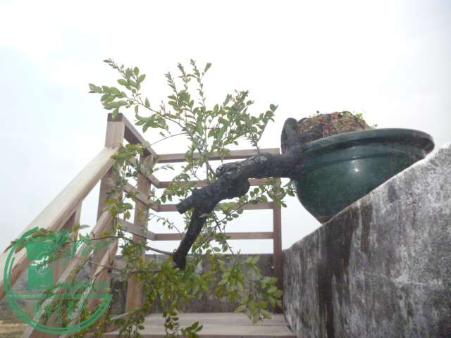 P1120742.JPG