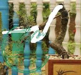 QQͼƬ20150506123432.jpg