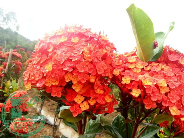 20150506_162410.jpg