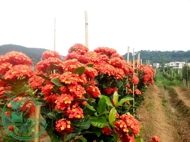 20150506_162431.jpg