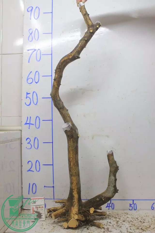 psb (2).jpg