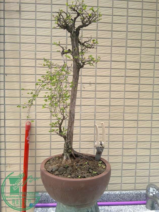 201505012429.jpg