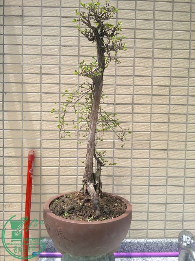 201505012430.jpg