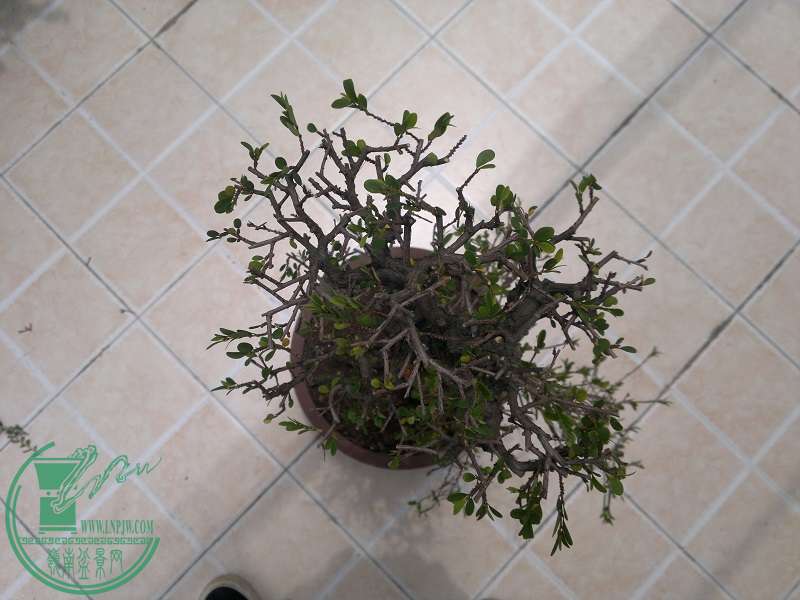 201505012431.jpg