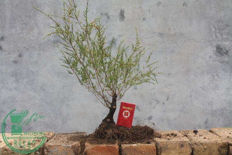 Ƭ20131026ۺ 3149.jpg