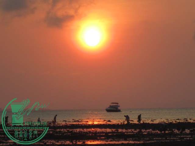 IMG_8981.JPG