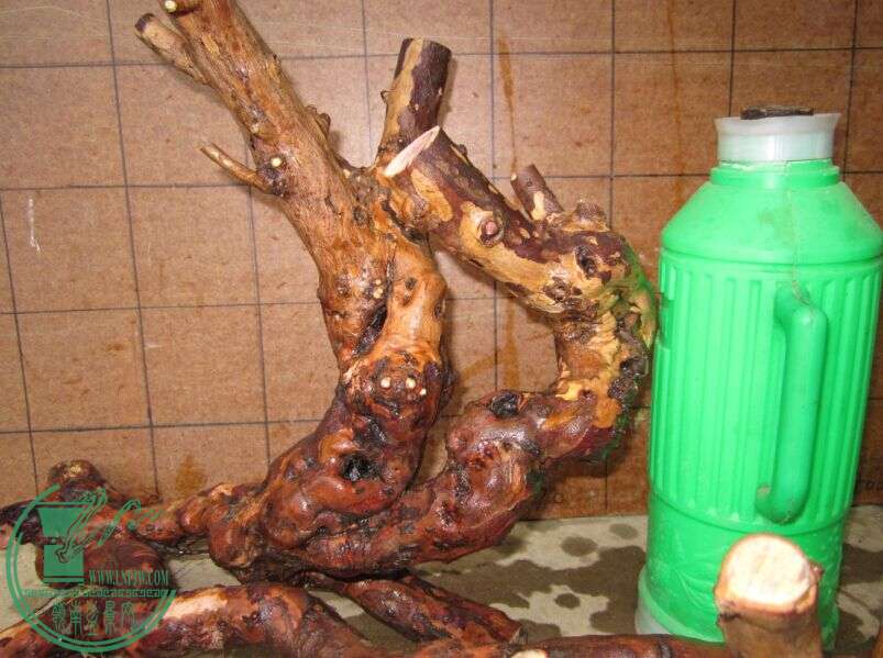 ֲ.jpg