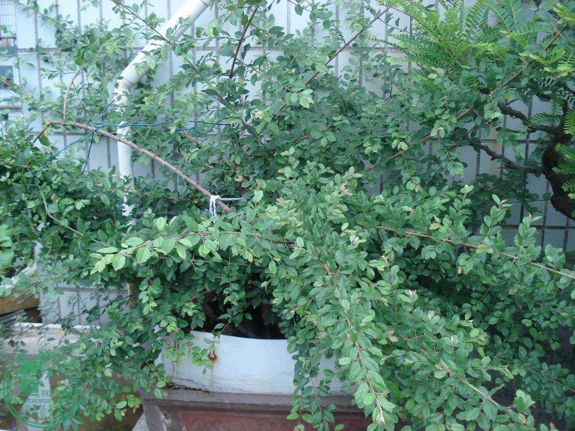 DSC00428.JPG