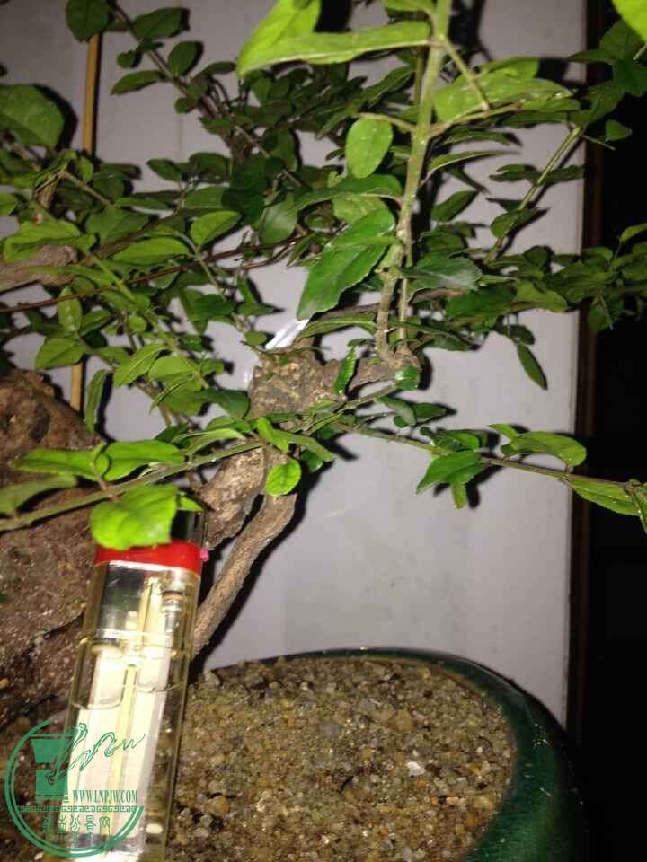 QQͼƬ20150511215053.jpg