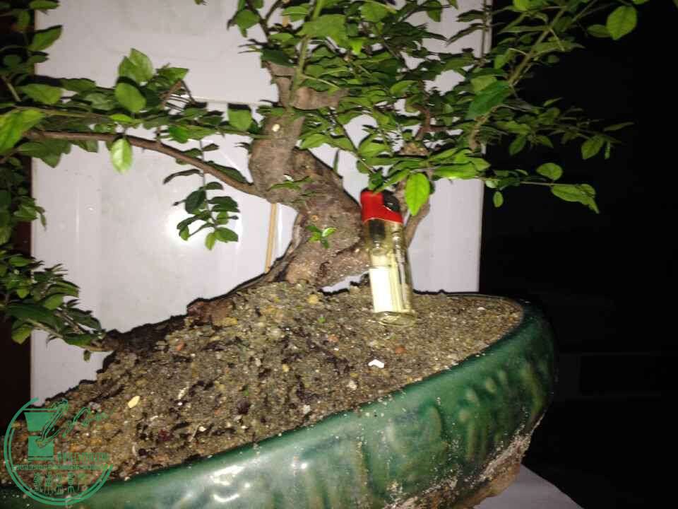 QQͼƬ20150511215103.jpg