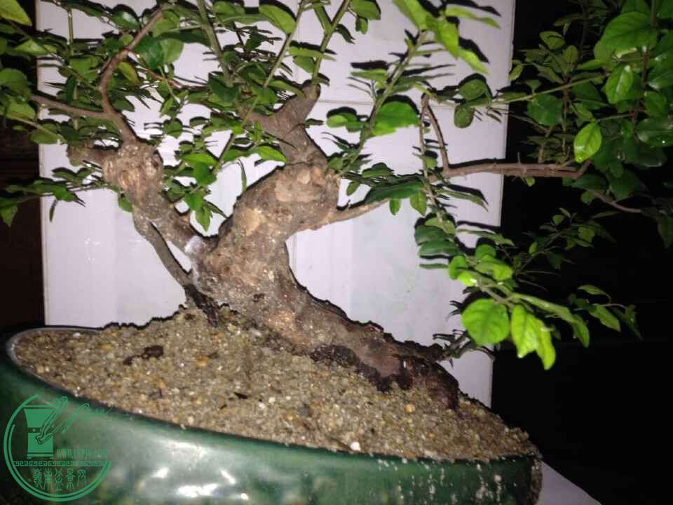 QQͼƬ20150511215108.jpg