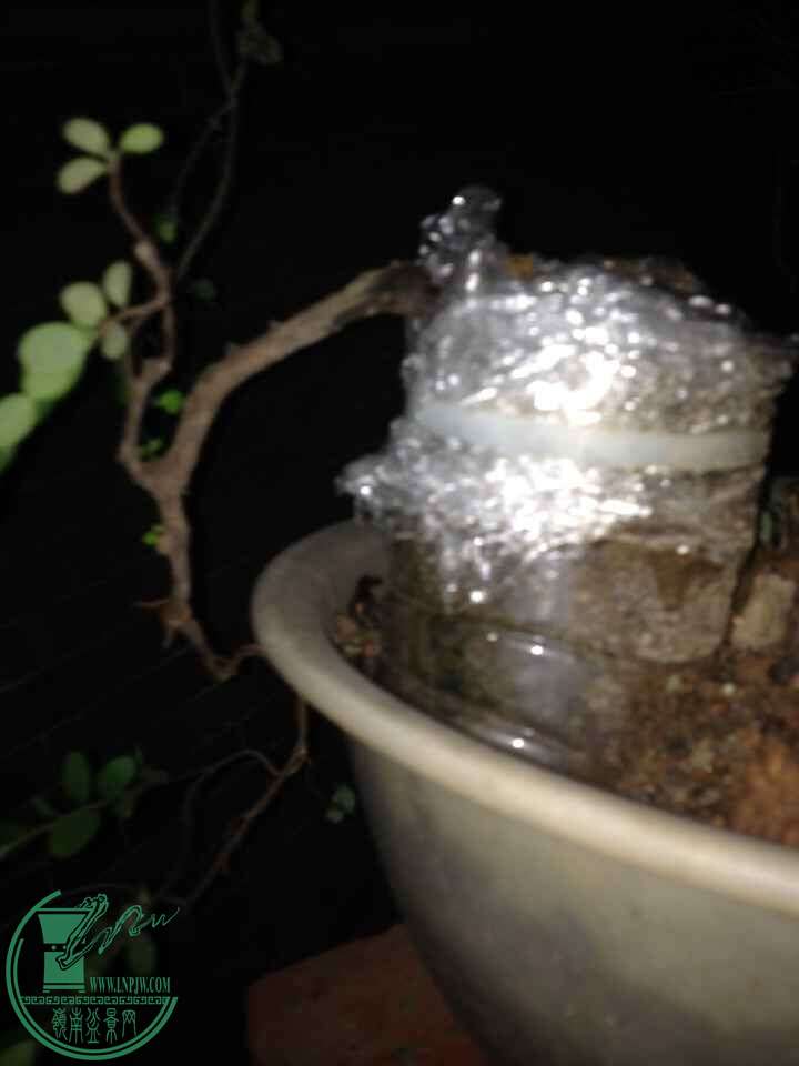 QQͼƬ20150511215113.jpg