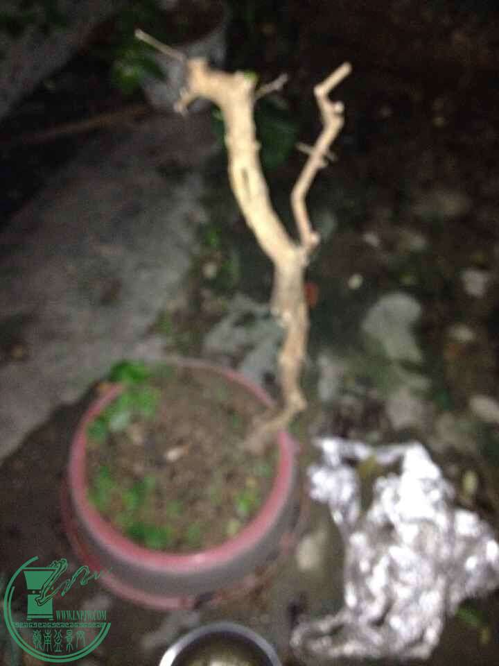 QQͼƬ20150511215140.jpg
