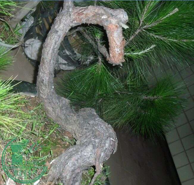 72.jpg
