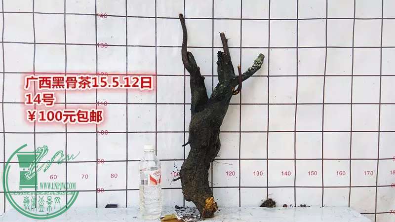 psb (27).jpg