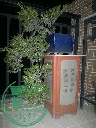 201505022434.jpg