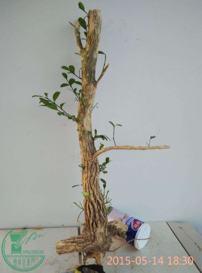 QQͼƬ20150514214410.jpg