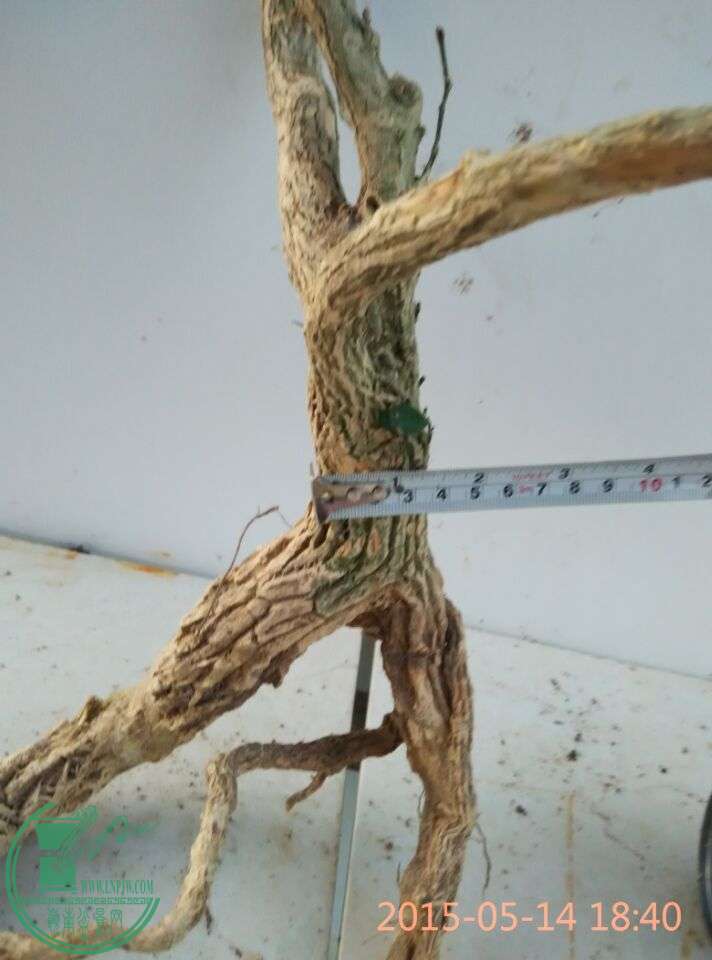 QQͼƬ20150514222747.jpg