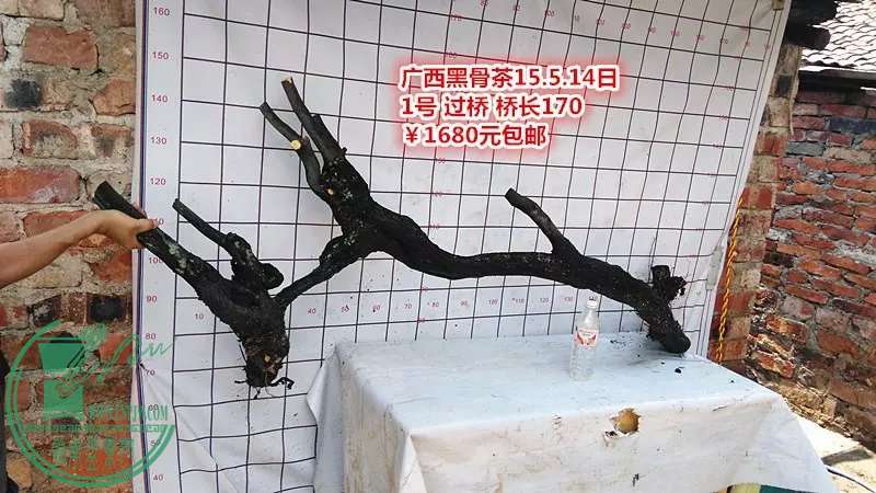 psb (10).jpg
