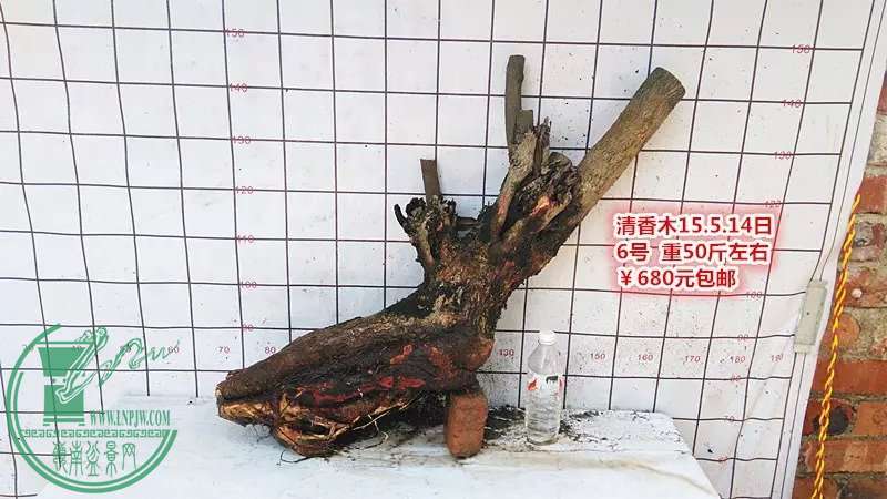 psb (14).jpg