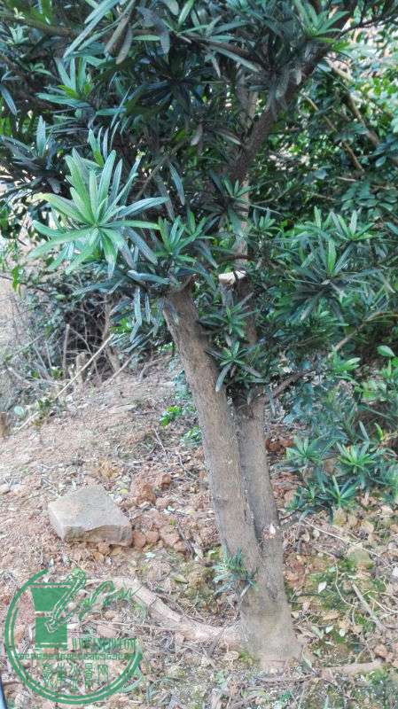 IMG_20150428_181216.jpg