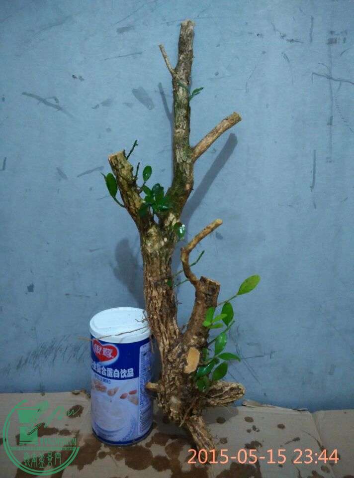 QQͼƬ20150515235550.jpg