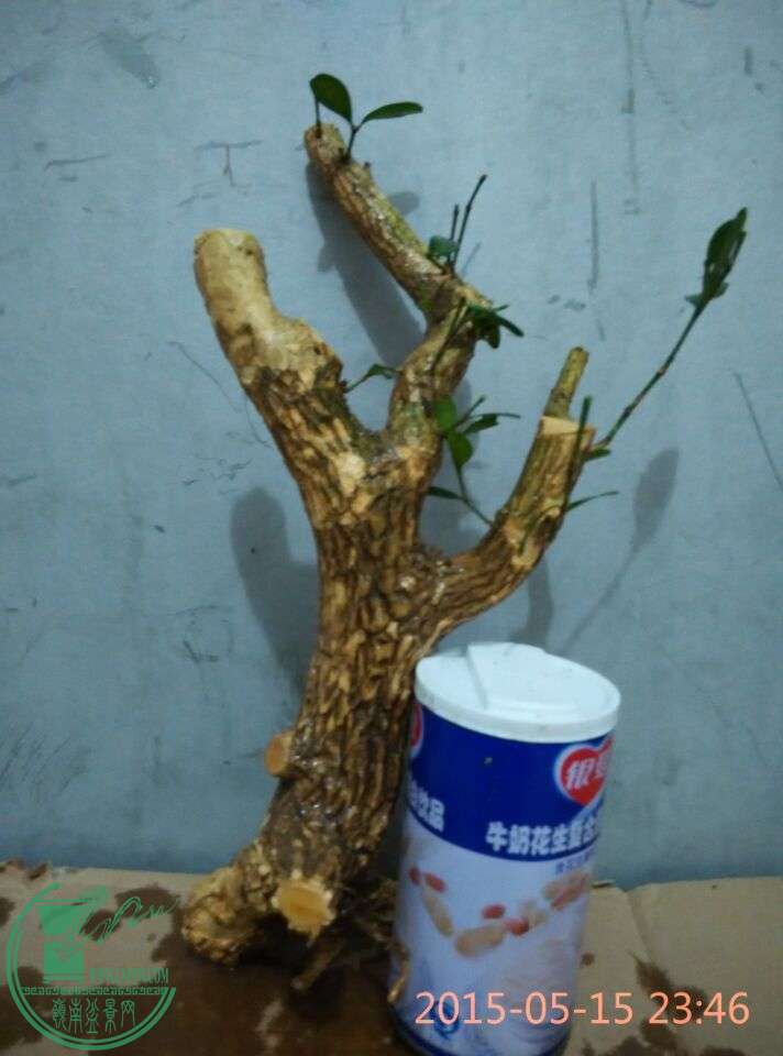 QQͼƬ20150515235610.jpg
