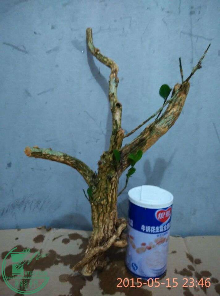 QQͼƬ20150515235616.jpg