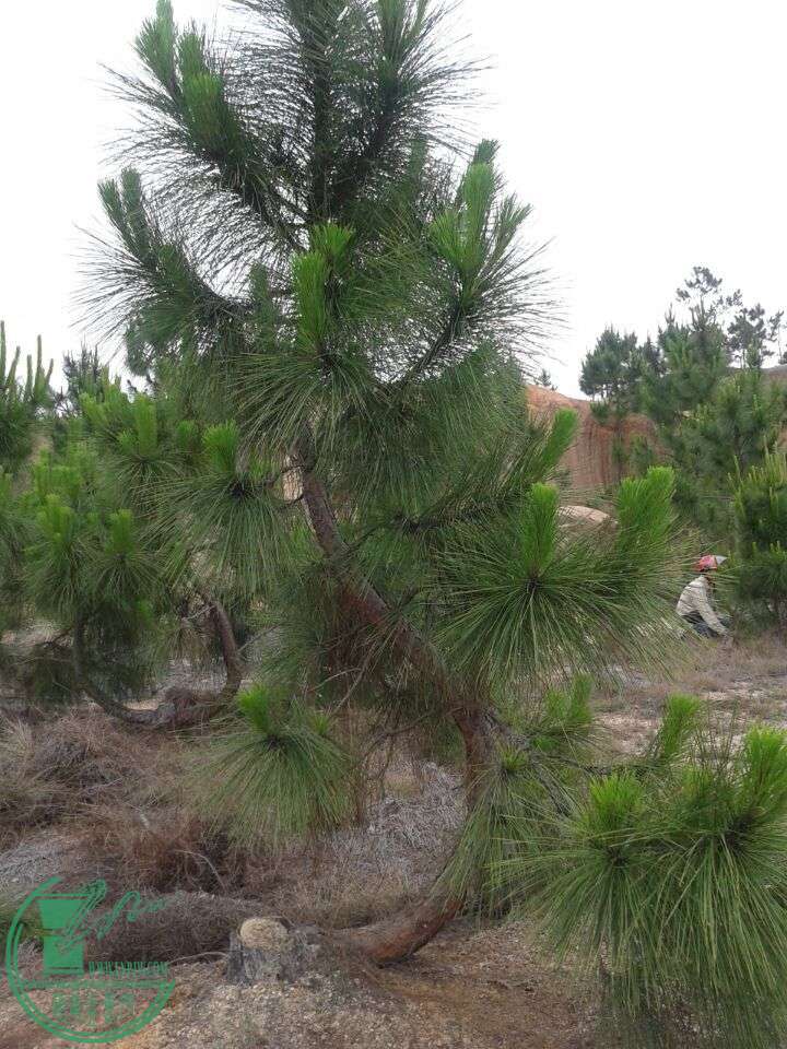 QQͼƬ20150516011114.jpg