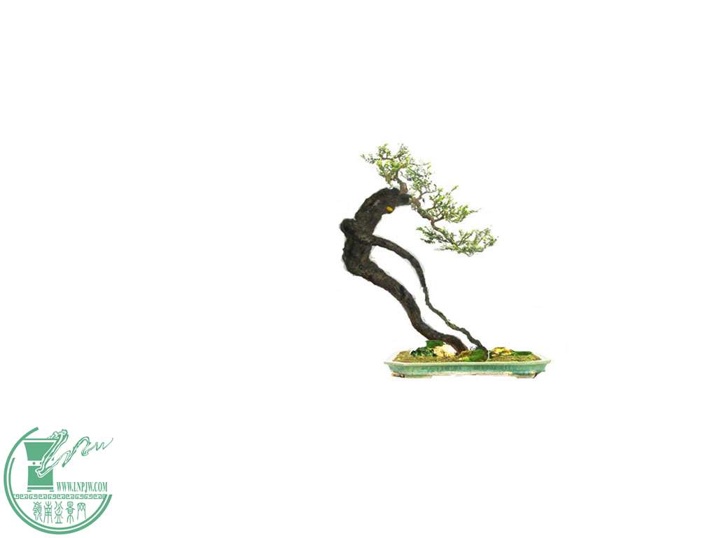 P1130837__.jpg