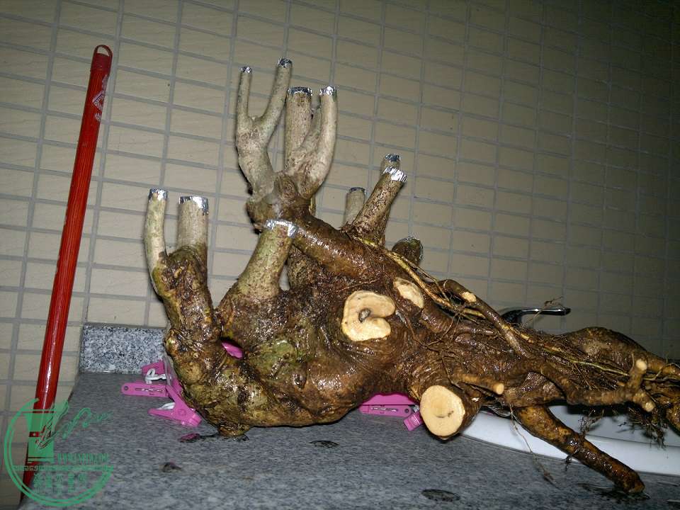 201505112453.jpg