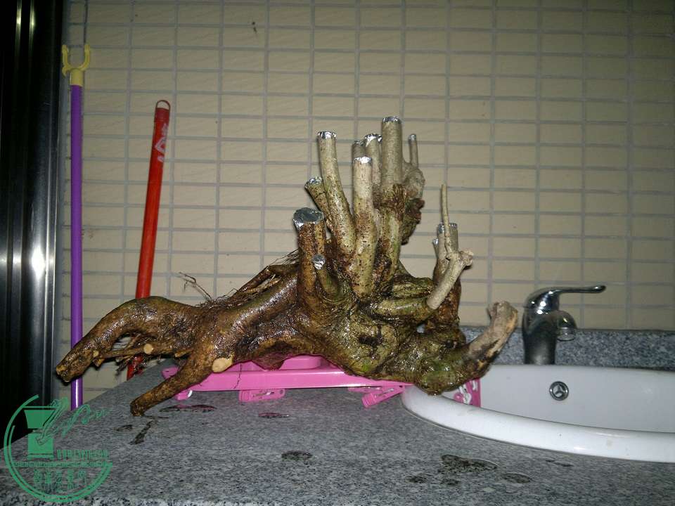 201505112454.jpg