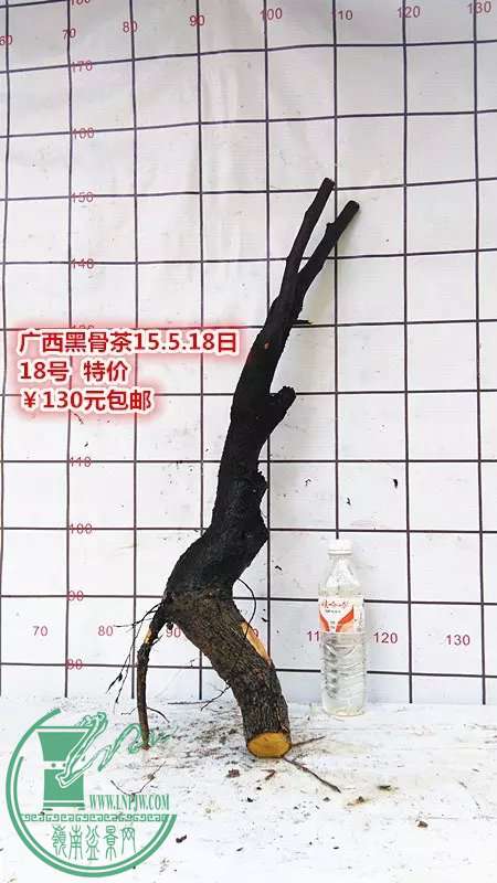 psb (33).jpg