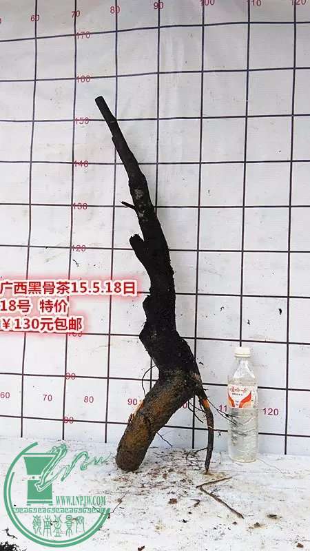 psb (34).jpg