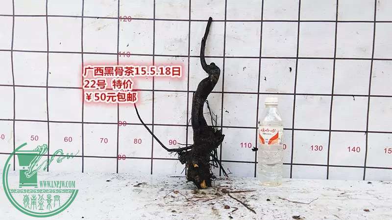 psb (41).jpg