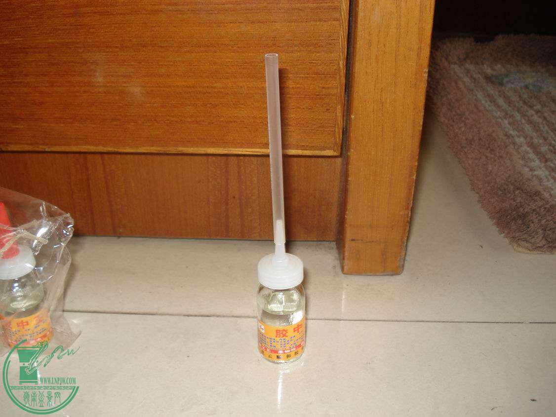 С DSC00452.JPG
