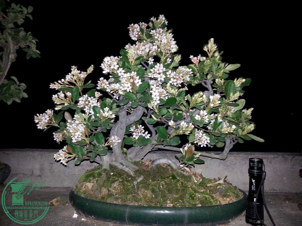 20150316_221629.jpg