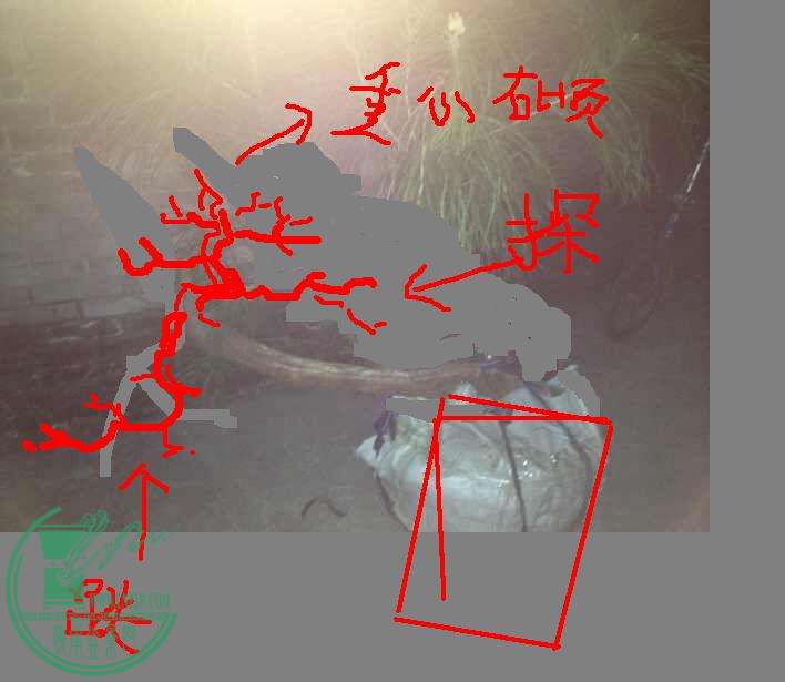 5A5345011D2A6530E329750C0728E47C.png