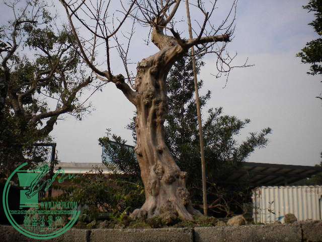 DSCN7763.JPG