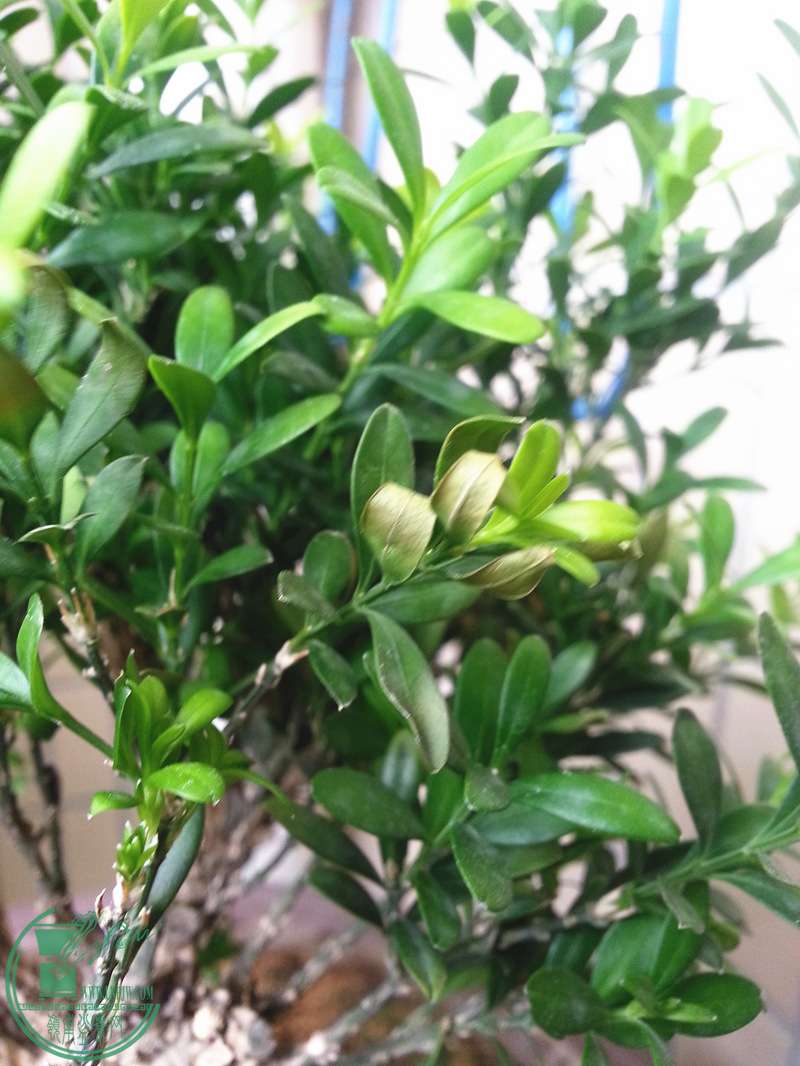 20150529_131419_.jpg