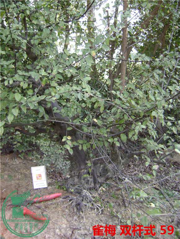 DSC04101_.jpg