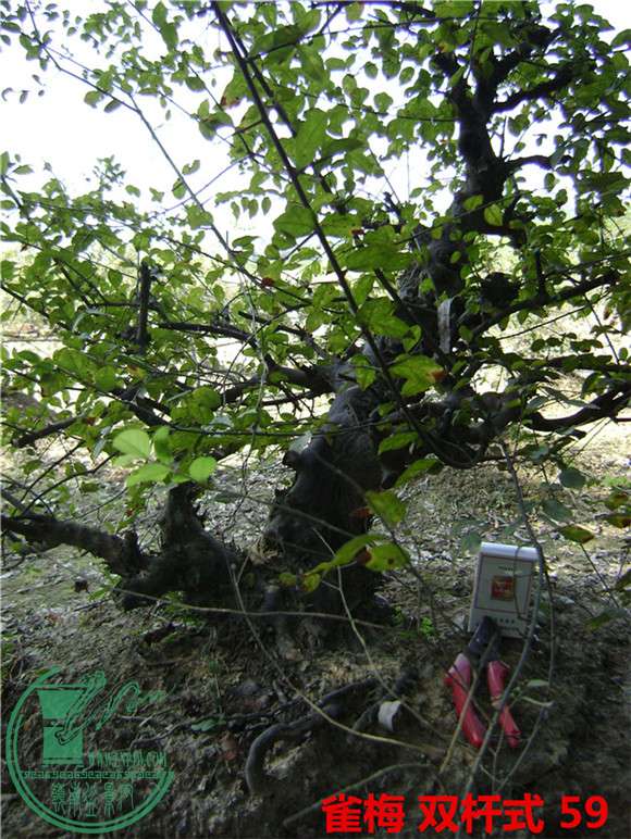DSC04100_.jpg