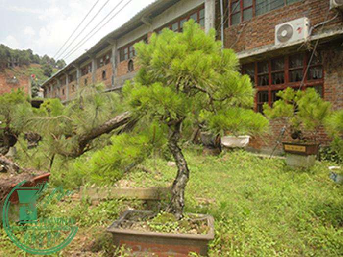 DSC03154.jpg