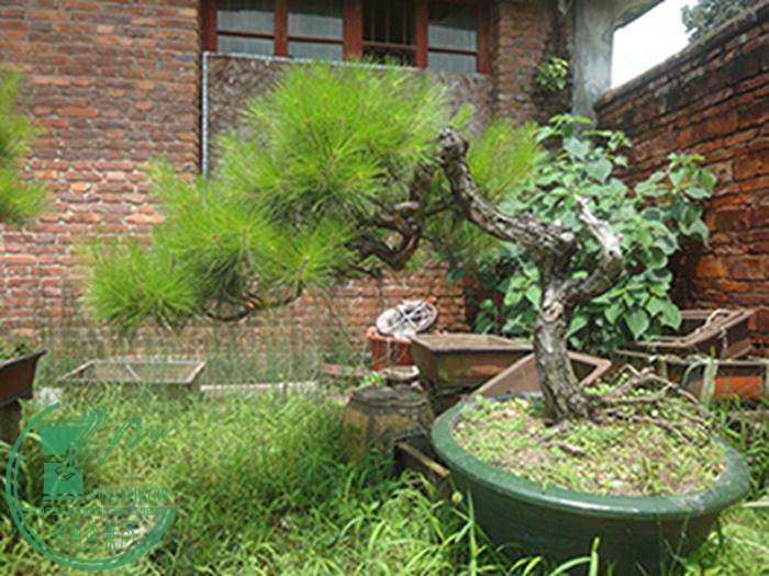 DSC03160.jpg