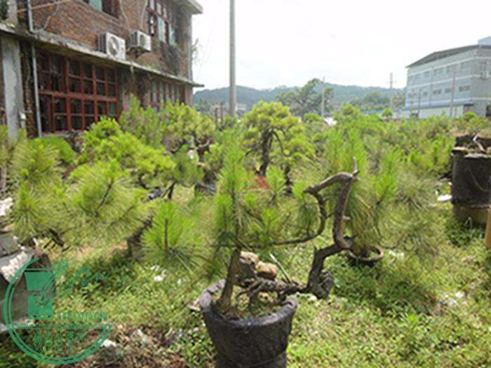 DSC03169.jpg